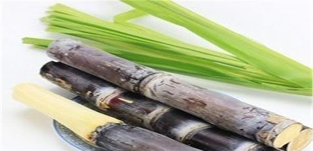 买甘蔗不要傻的再往粗了挑了！看准这三个部位，一挑一个准