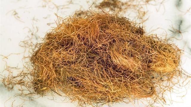 高血压|高血压的“冤家”上线，坚持泡水喝，扩张血管，血压或慢慢降下来