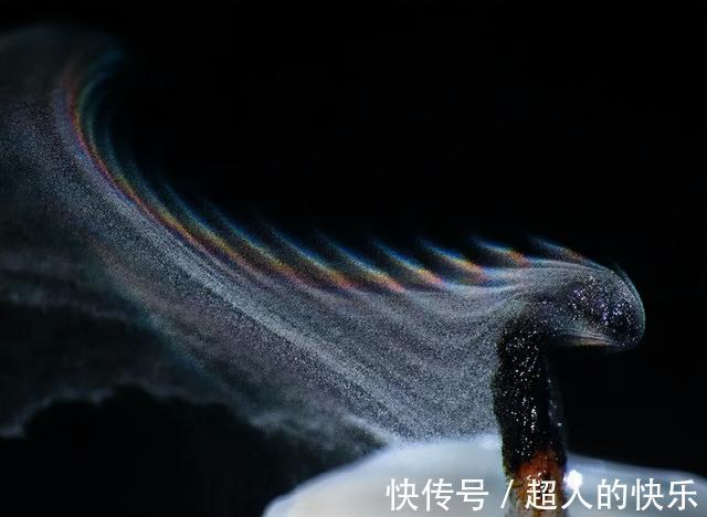 |拍迪士尼烟花翻车现场  冷段子2008