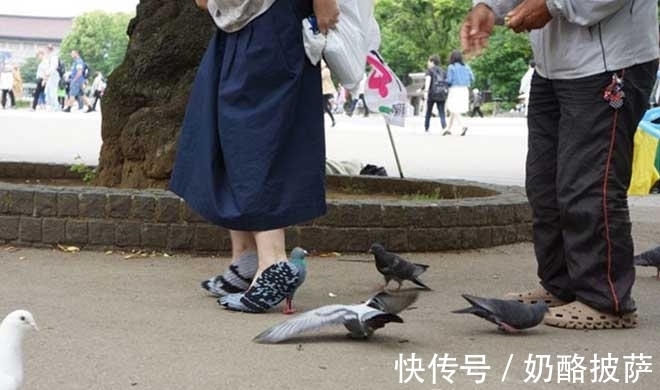 高跟鞋 女子穿着别致高跟鞋,竟引来成群鸽子!
