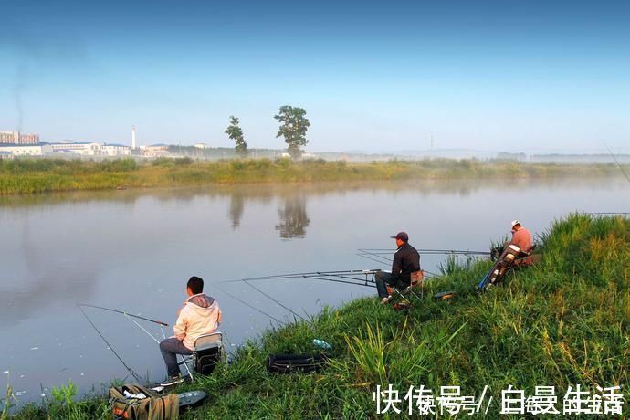 曲酒|没想到鸡蛋也能用来做鱼饵,而且钓鱼效果那么好