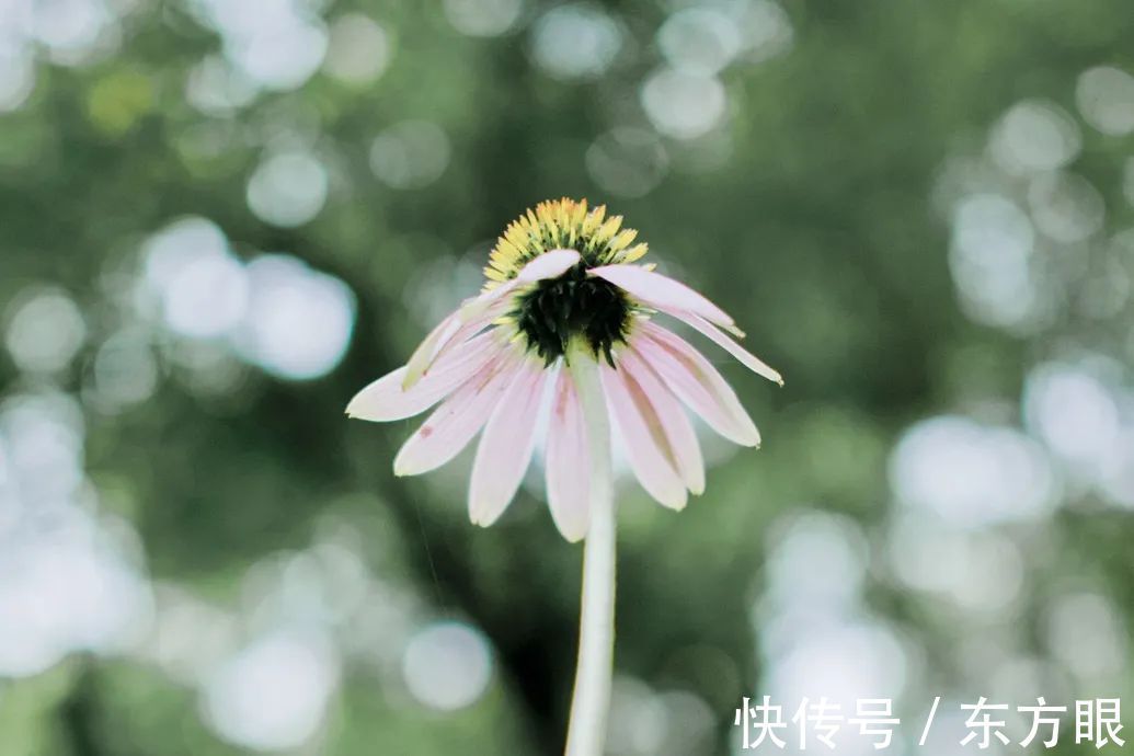 醒悟|人生的醒悟,从三次“接受”开始