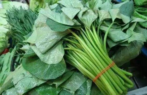 养肝|养肝就是保命,农村有3种野菜,养肝护肝,肝脏排毒,身体更健康