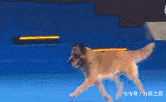 美女|高仿佟丽娅小姐姐好漂亮,大爷你这样看一幅美女画不太厚道吧