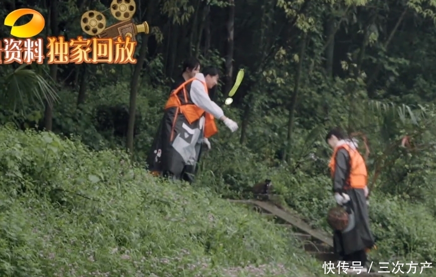 灯泡 向往5变红娘节目?张艺兴杨紫甜蜜互动,何炅带头回家不当电灯泡