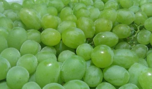 水果|对女人最好的水果，每天当零食吃几颗，淡化皱纹，肌肤更细滑水嫩