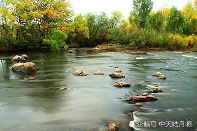 今宵谁与诉衷肠|鹧鸪天·今宵谁与诉衷肠