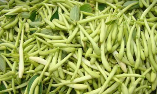 月經(jīng)不調(diào)|黃芪加一物,長壽跑不了!但要牢記“四不喝”,喝對才健康