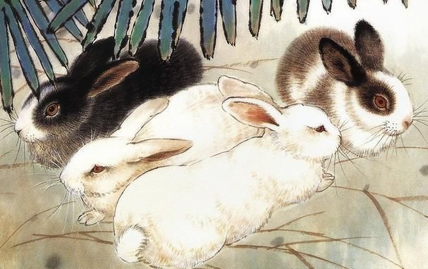 财气|2022年运势一路顺遂,财气高涨,有贵人指点,有福有禄的3生肖