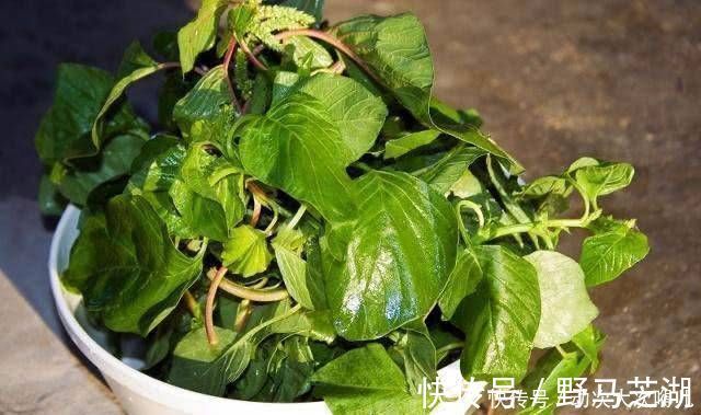 白发|这东西只有农村有,吃了白发变黑发,不知道就太可惜了