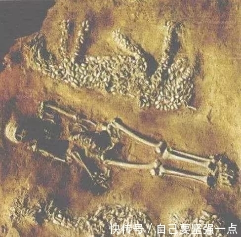  a8485|比甲骨文古老的文字，距今超8000年，考古家：中华文明再加三千年