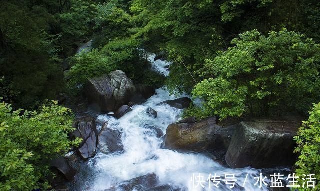 水穷处&王维最经典的一首五律,每一句都充满了禅理,无人能出其右