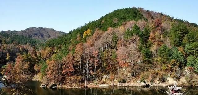 乡村景区|武汉有一处乡村景区，距离市中心85公里，被称为武汉最美的乡村