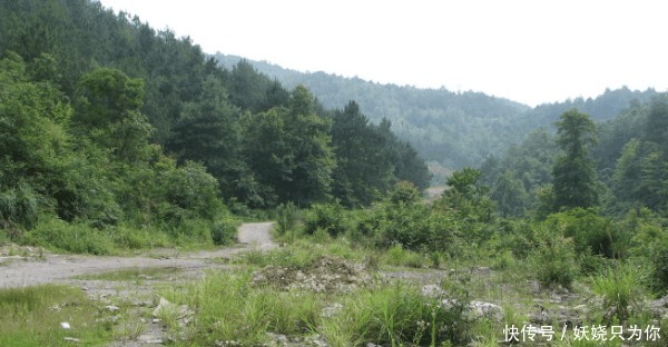 夜宿|老人告诫宁可夜宿荒坟, 不可旅居古刹, 一言道出真理, 人心最可怕!