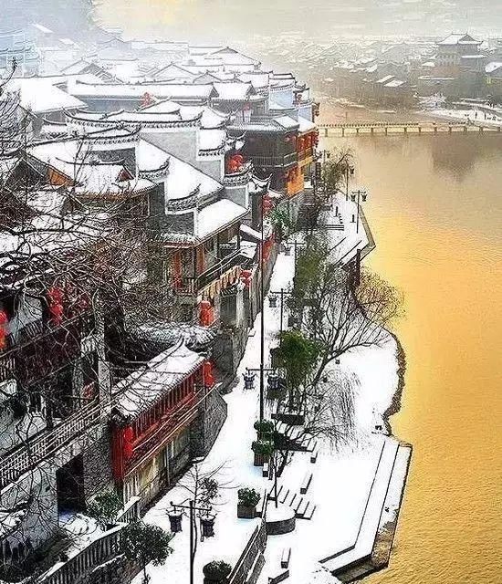 传来|太美了,世界照片今天终于传来,罕见至极,一睹为快