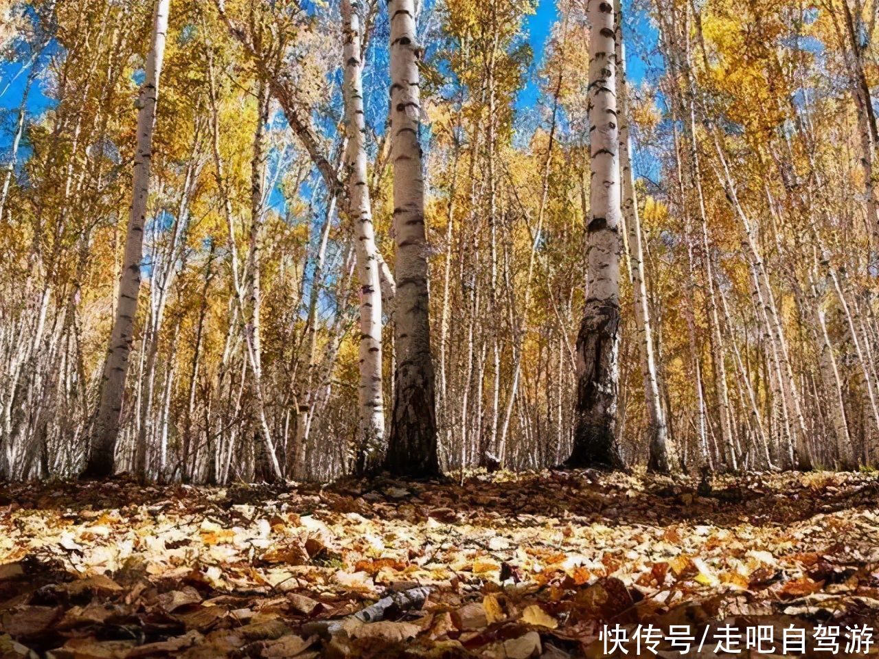 走走停停，兜兜转转，盘点国内最适合一个人旅行的7大目的地