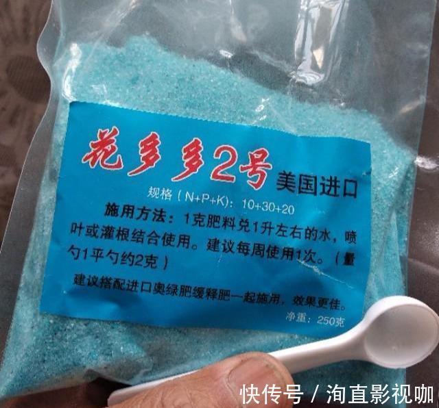 罪魁祸首|墨兰不开花找出“罪魁祸首”,3招就解决,年年乱窜花箭