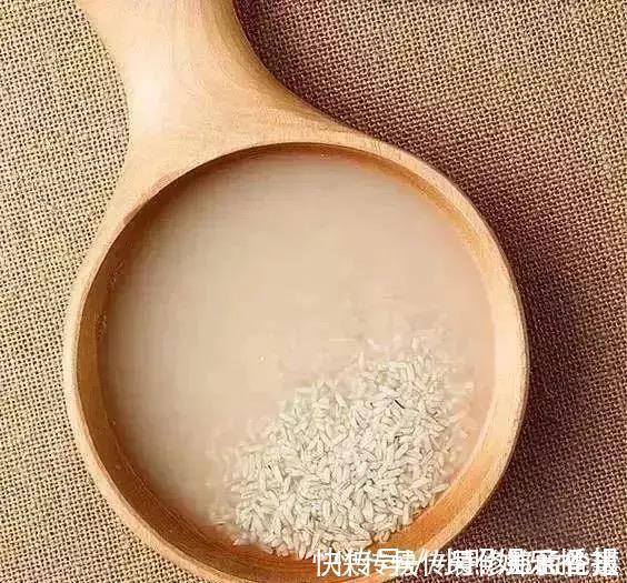 黄豆水黄豆|为什么你养的君子兰始终不开花？问题出在浇水上，四种水轻松化解