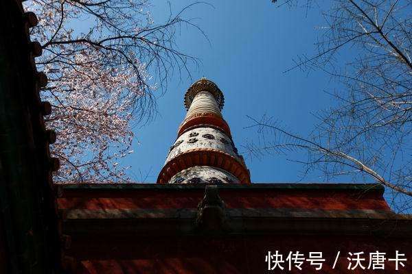 含义!四大部洲所代表的含义是什么?