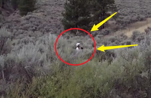 杨颖户外骑行遇生理期,在草丛中方便,蹲下对摄像机大喊不要拍