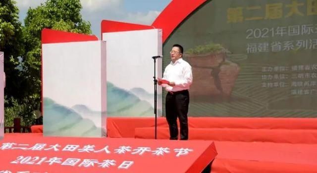 大田 开茶喽!三明大田“美人”娇艳绽放