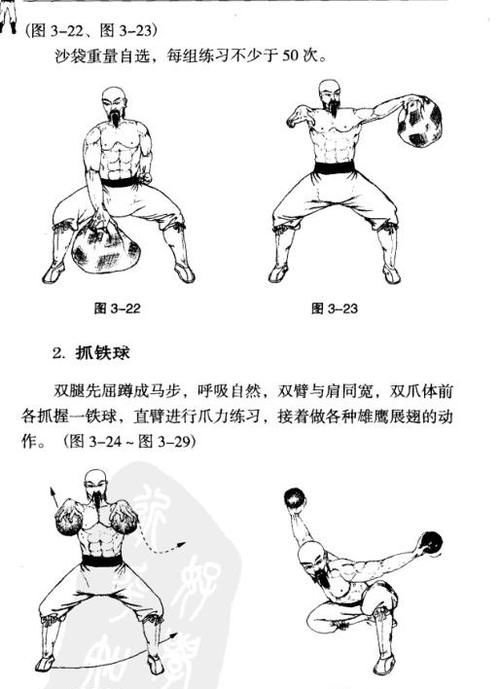 土鹰门大力鹰爪功 鹰撕功 功成后 指力猛 用于实战可一招制敌 快资讯