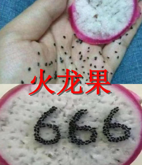 强迫症|“强迫症”剥水果有多牛草莓去籽OK，看到火龙果是不是欠揍