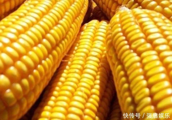 天然“溶栓王”找到了等于吃“溶栓灵”，一个星期血管就干净了
