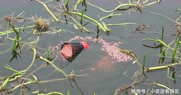 鱼口|冬季钓鱼勤快一点!能做到这4“勤”,保证鱼口不间断,渔获倍增