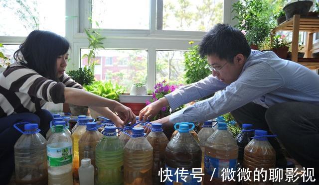 网传3大错误养花技巧，阳台客厅都不同，南北差异就更大
