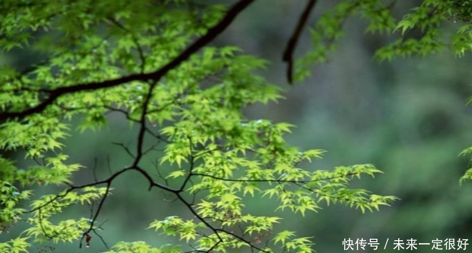 苏轼送别朋友信手拈来写下一首诗,短短的28个字,写得很是唯美!
