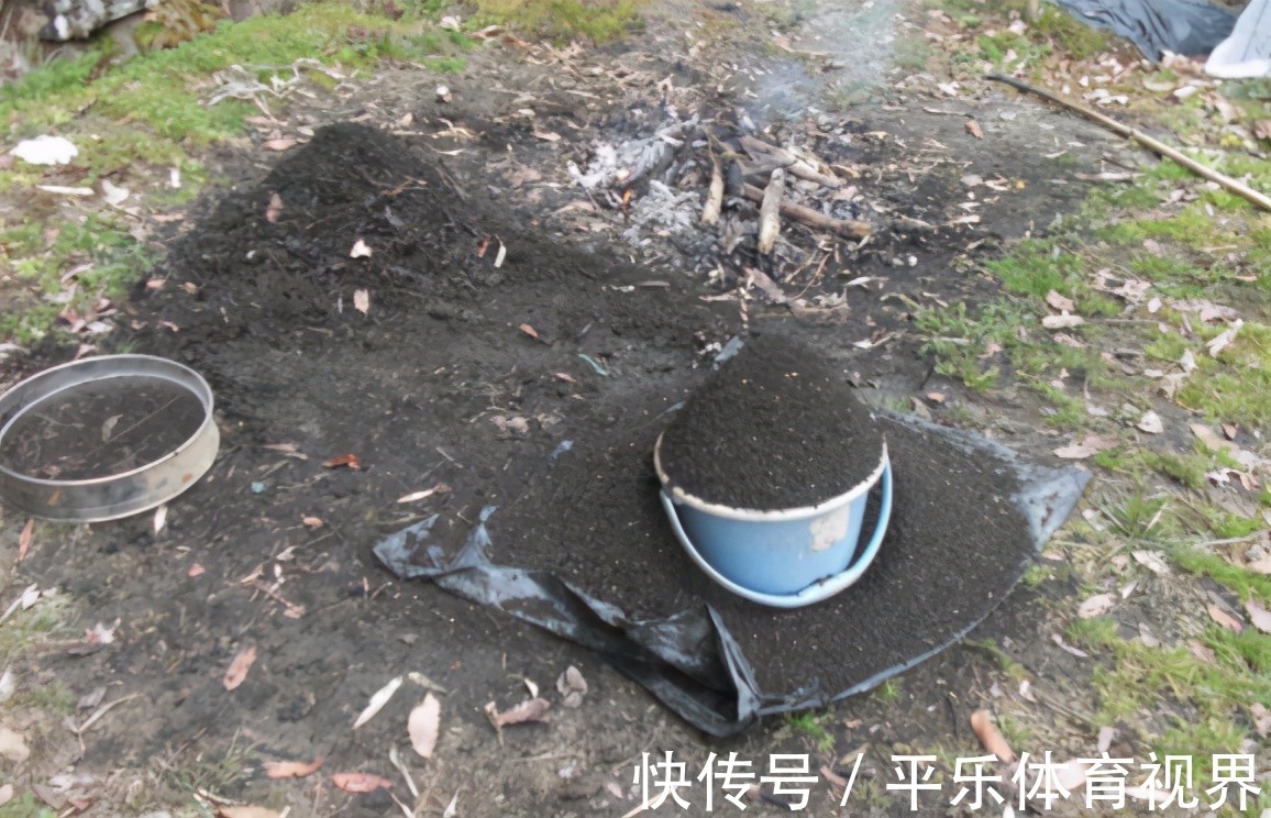 生活中哪些材料富含钾元素，该怎么处理拿来养花？