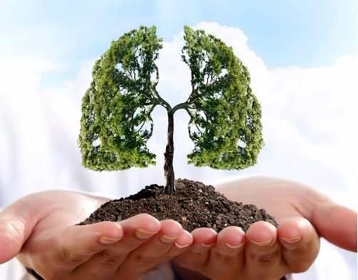 瘙痒|你的肺部是否健康几个小运动自测一下，省得去做体检了