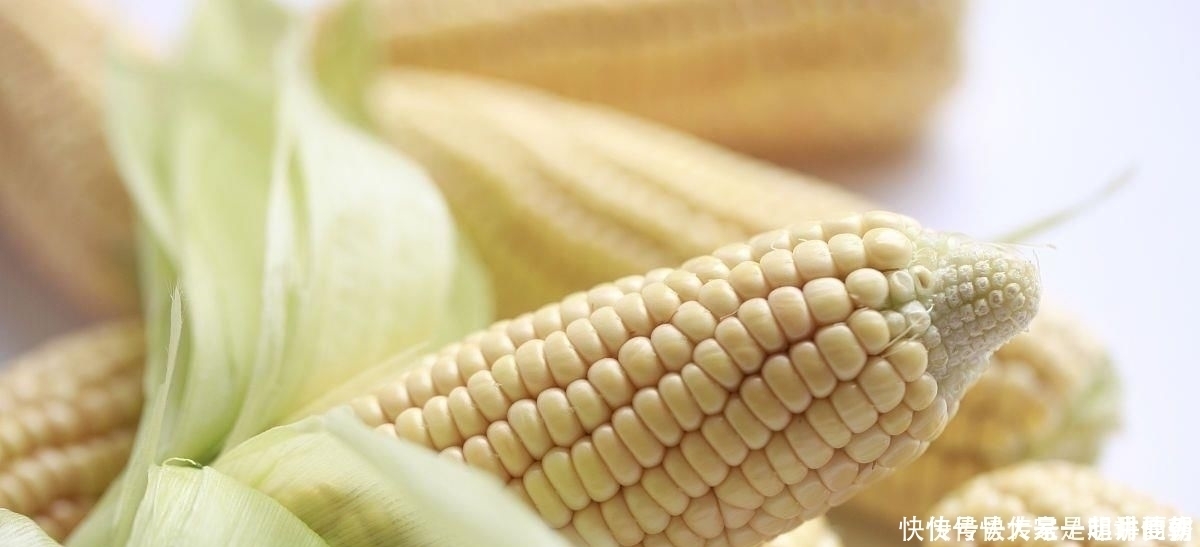 减肥瘦身|公认最长肉的“主食”,第一种堪比“喝油”,劝你管住嘴,别任性