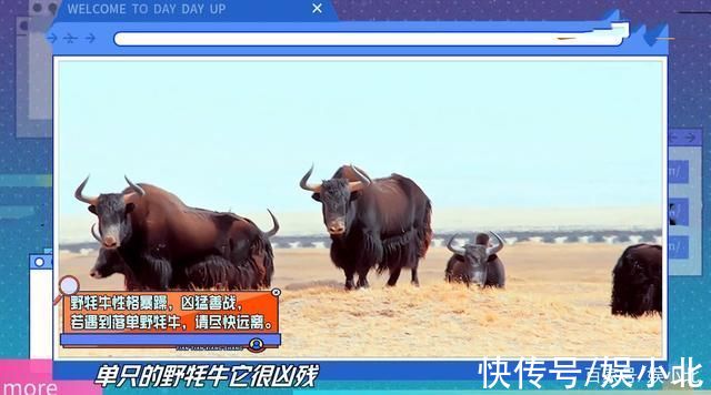 做出三大改變后格調(diào)飆升，《天天向上》，你早該這樣了