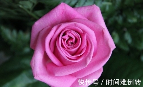 好运|哪些时辰出生之人,好运连连,顺风顺水,成长速度快,能打败对手