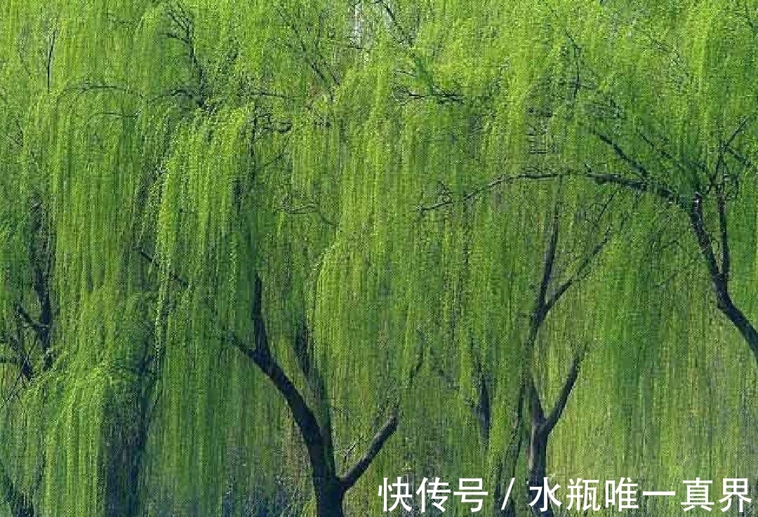 这首诗$有些诗人只有一首诗流传下来,这些诗人中最著名的是哪10位?