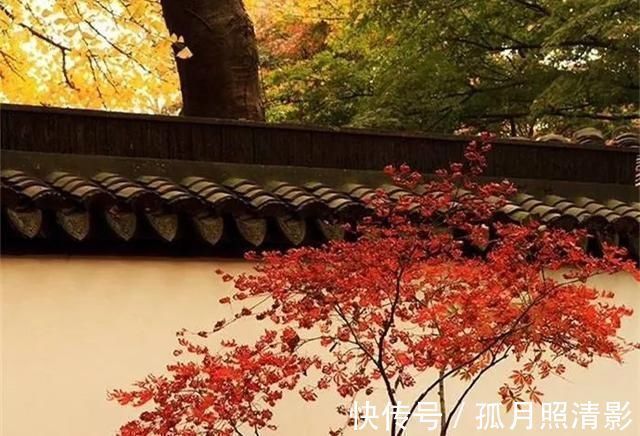 小怨!千古奇文《心相篇》20句话,看透人性,诠释人生,百读不厌