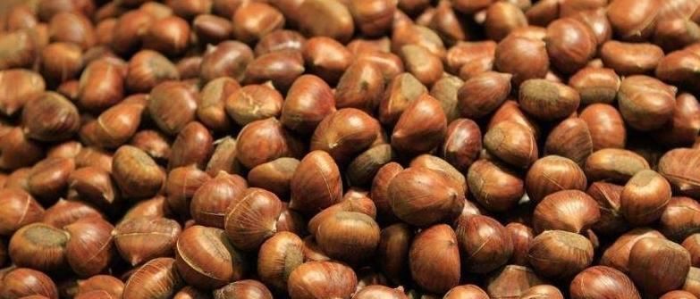 葛根|宝宝不爱吃饭,可能是脾胃不好!常吃这3物,养胃健脾孩子抢饭吃