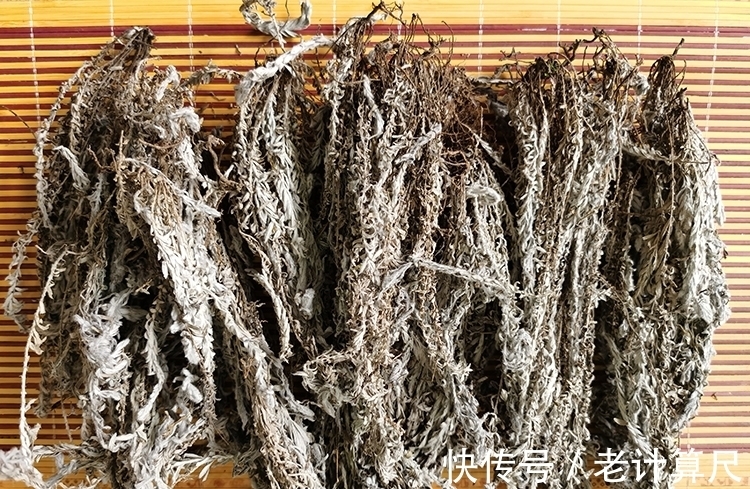 六月霜|鹿茸草别名六月霜，干货一斤能卖到200元，看看你家有没有？