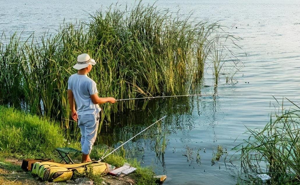 窝子|最简单的窝头钓饵,是草鱼就逃不过这味