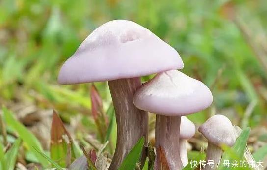 男女|肿瘤医生不论男女，当皮肤有这“反常”，癌症已大肆张扬