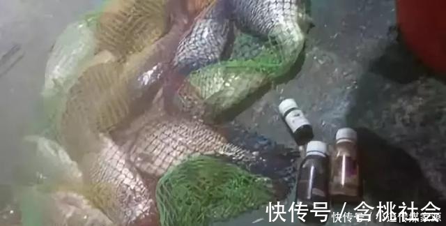 水草处|秋钓草边“三钓”、“三不钓”，用好了总有一次要爆护