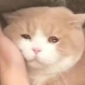 小姐妹|20来块的指甲油、7块的小零食,最近买到的都是些什么宝藏哇!