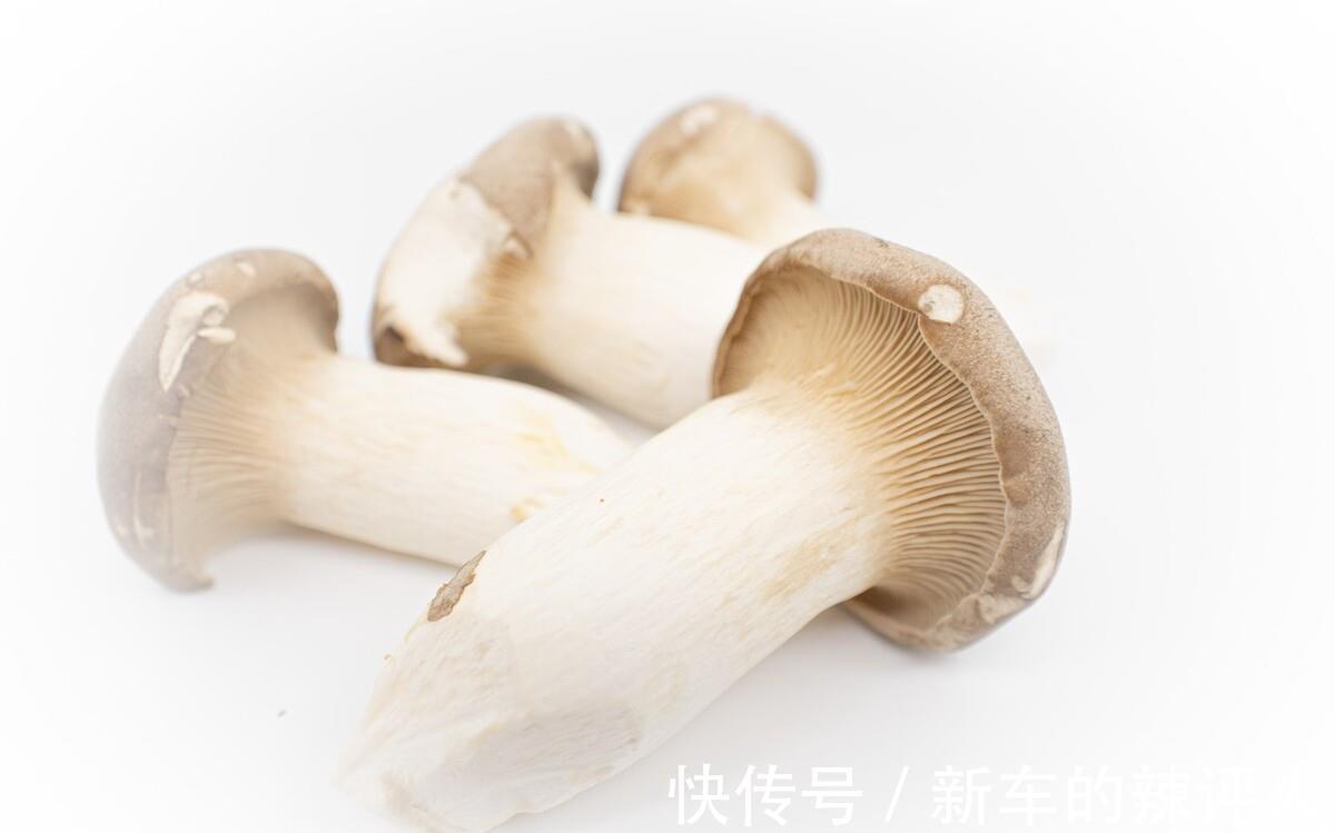 秋天|入秋后，要多“吃白食”，顺时节而食，提防秋季干燥