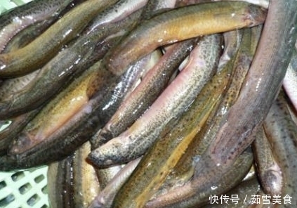 土腥味|炒泥鳅下锅前,很多人都没做这一步,难怪有股土腥味