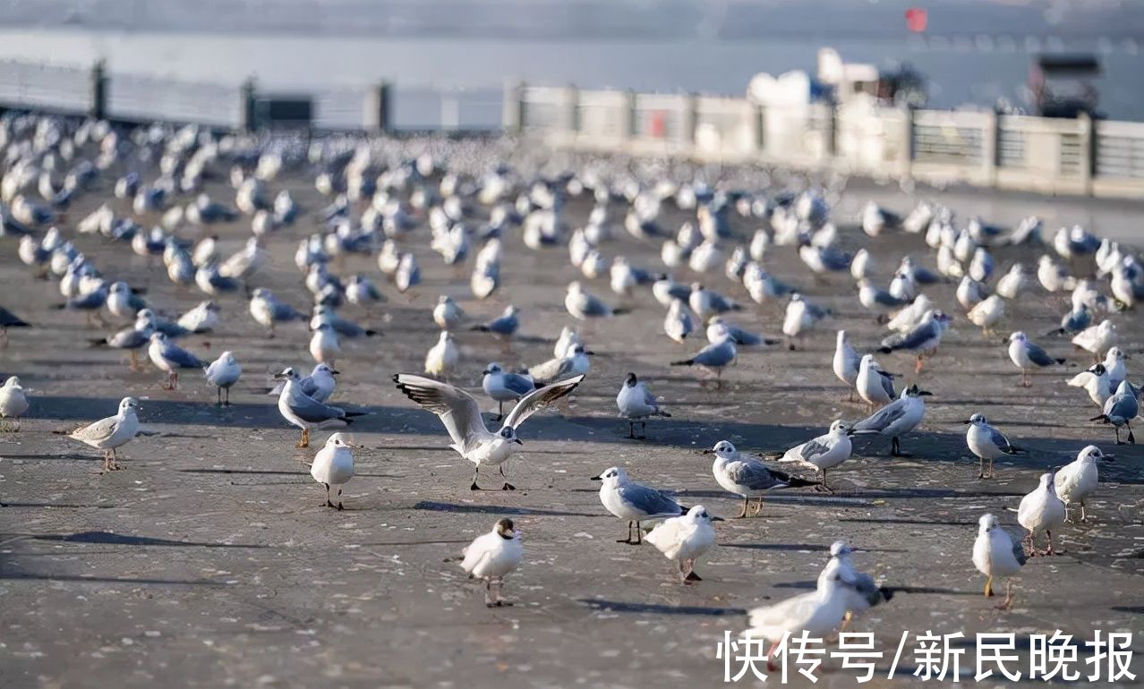 联合国|七彩云南，未来10年全球“生物多样性之旅”从此启程