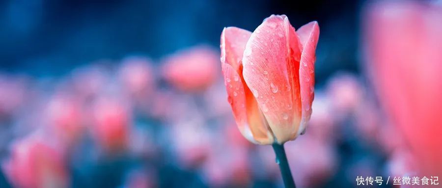 湿疹|脾胃好不好,脸上见分晓!老中医教你来调养:脾脏好,脸才漂亮!