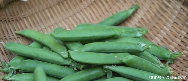 4月,吃牛肉不如吃這3種豆,口感營養(yǎng)最佳期,孩子多吃聰明長個快
