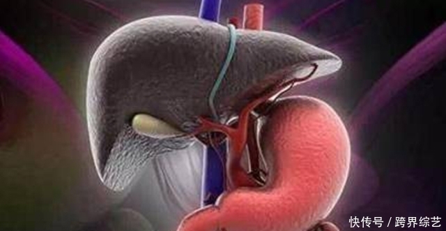 谨记|肝不好谨记,2物养肝,3物清毒,赶跑病毒肝会越来越棒